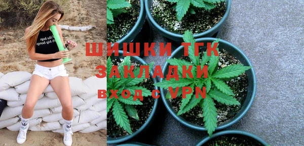 стафф Осинники